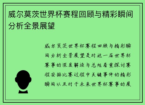 威尔莫茨世界杯赛程回顾与精彩瞬间分析全景展望