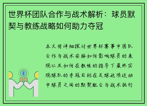 世界杯团队合作与战术解析：球员默契与教练战略如何助力夺冠